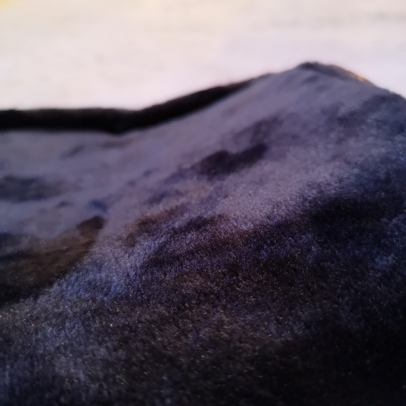 SPIDER ANIMAL COSTUME DOG - Picture 13 of 15